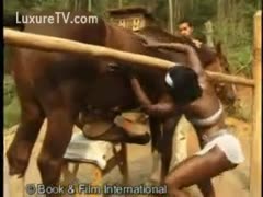 In this animal sex film, the boyfriend watches helplessly as his lady is railed by a horse.